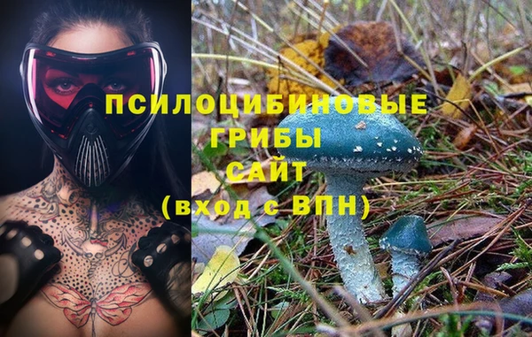 шишки Беломорск