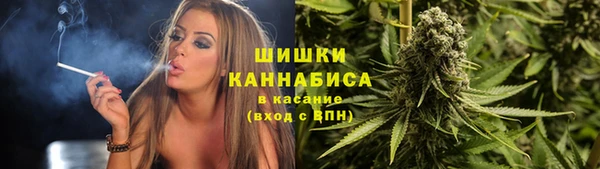 мдпв Богородицк