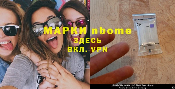 шишки Беломорск