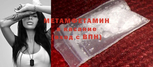 шишки Беломорск