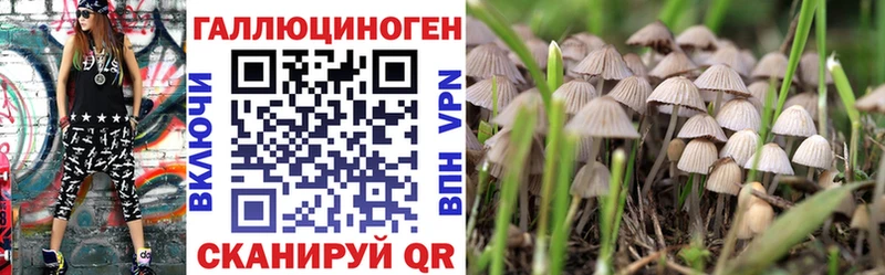 Галлюциногенные грибы Psilocybe  кракен сайт  Благодарный  закладка 